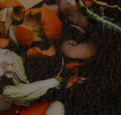 Closing the nutrient loop