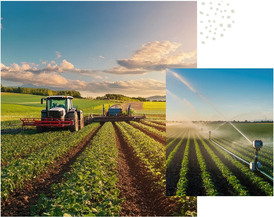 Redefining productivity within complex agricultural systems
