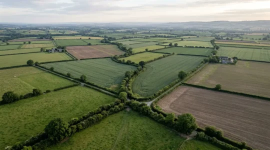 Aerial view of interconnected hedgerow network linking wildlife habitats across farmland