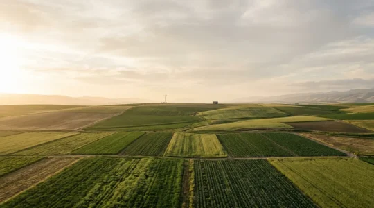 Satellite view of agricultural fields with advanced remote sensing technology detecting crop stress patterns before visible symptoms appear