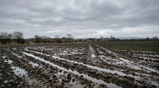 Farmer examining soil structure in a wet winter field after heavy rainfall
