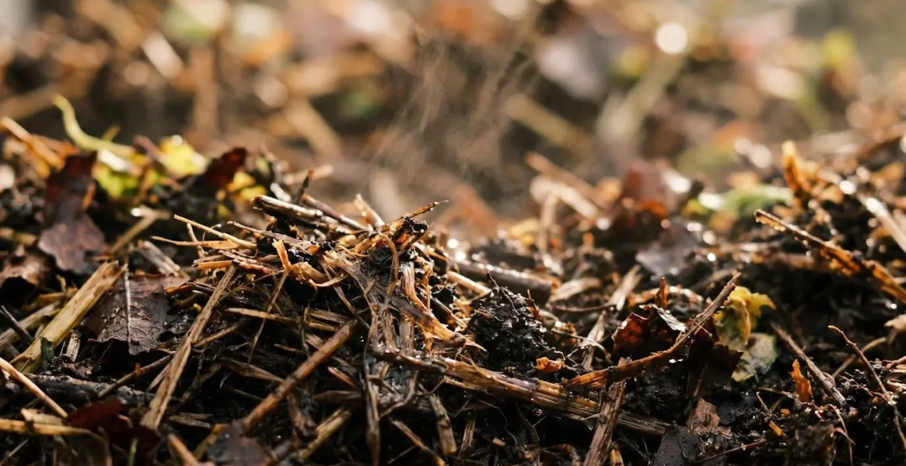 Close-up view of compost temperature monitoring showing thermophilic phase heat