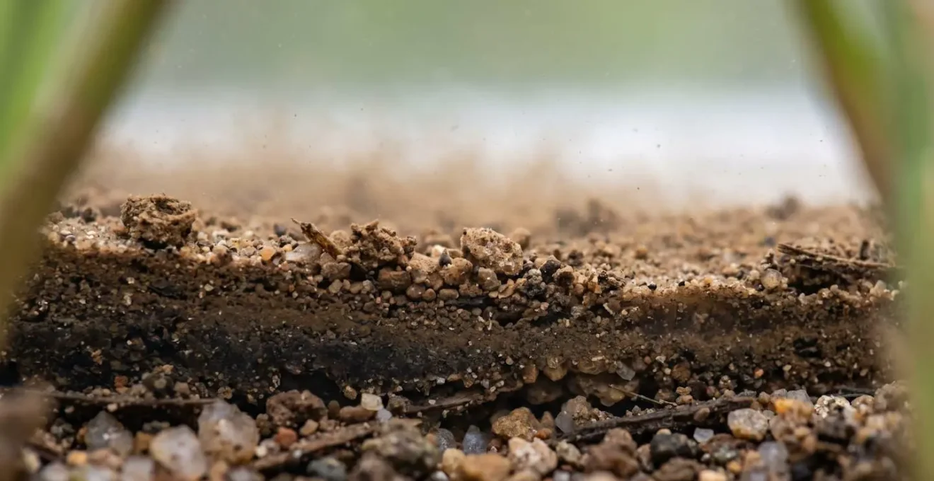 Cross-section view of a multi-stage agricultural sediment trap showing settling zones and vegetation