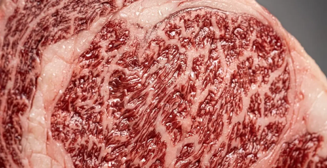 Macro view of premium meat tissue showcasing molecular-level authentication capability