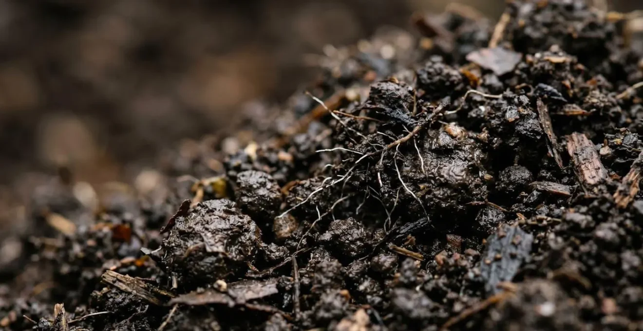 Close-up view of rich agricultural soil texture showing organic matter structure
